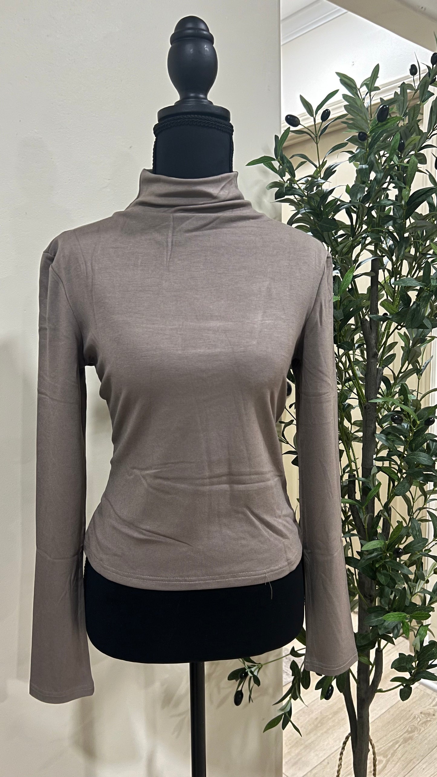 Fine Turtleneck Long Sleeve Top